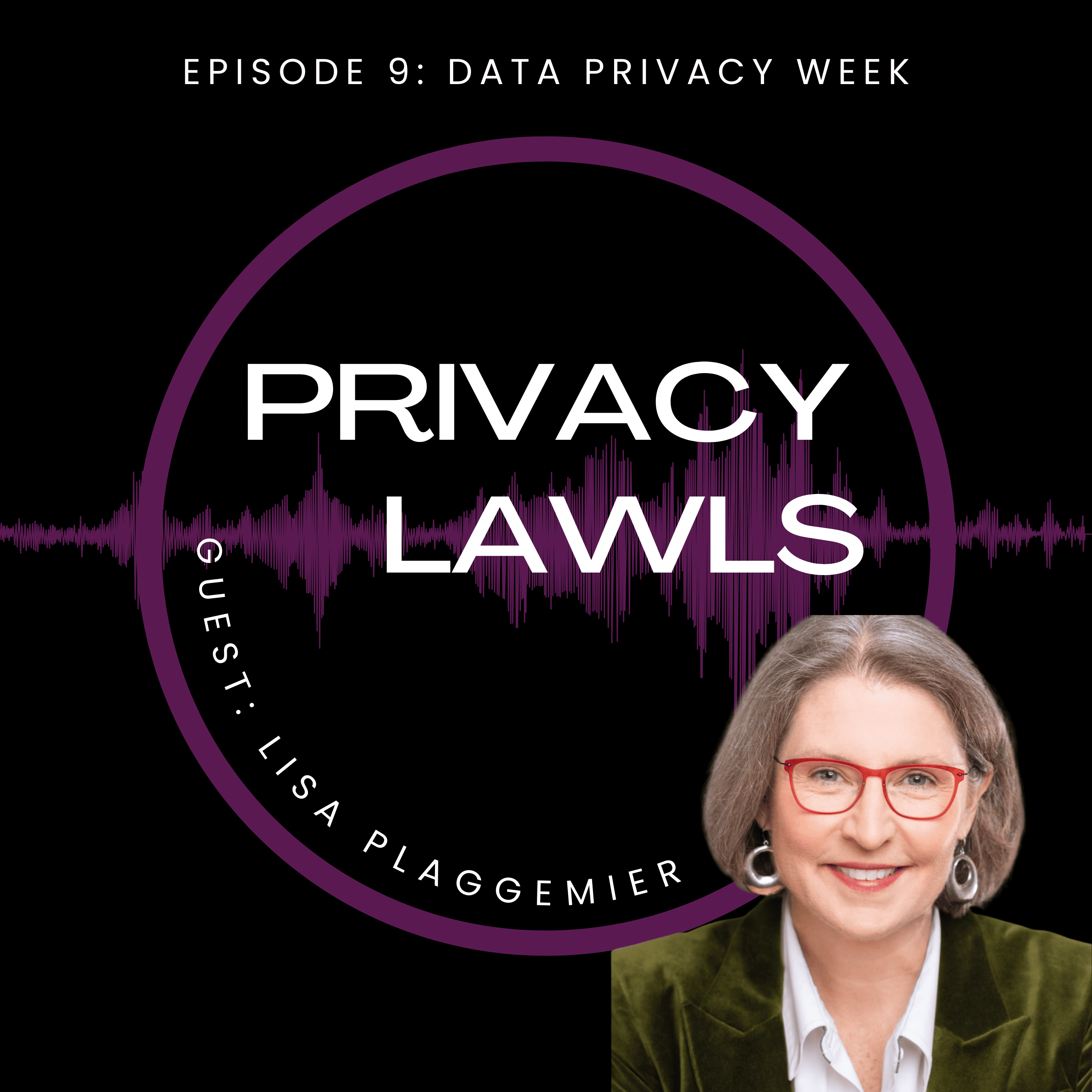 Episode 9 of Privacy Lawls